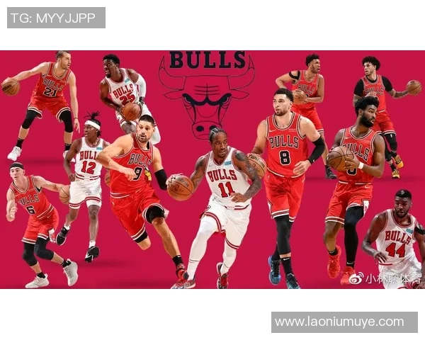 开拓者与公牛对决前瞻分析及比赛结果预测