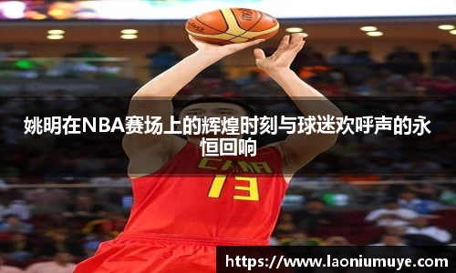 姚明在NBA赛场上的辉煌时刻与球迷欢呼声的永恒回响