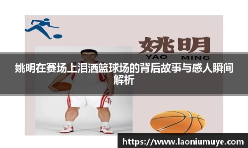 庄闲官网