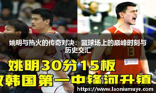 姚明与热火的传奇对决：篮球场上的巅峰时刻与历史交汇