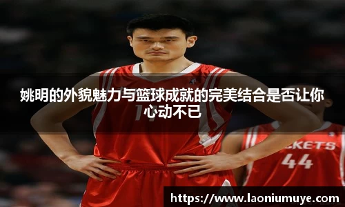 姚明的外貌魅力与篮球成就的完美结合是否让你心动不已
