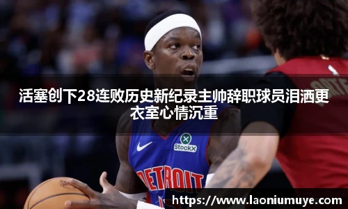 庄闲官网