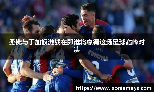 庄闲官网