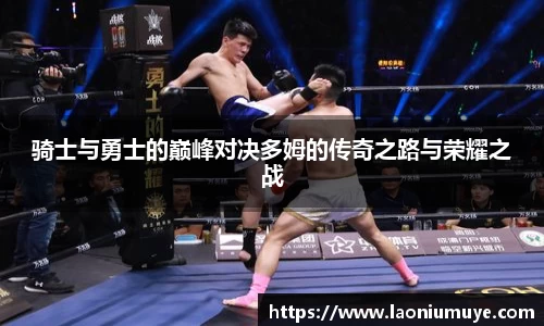 庄闲官网