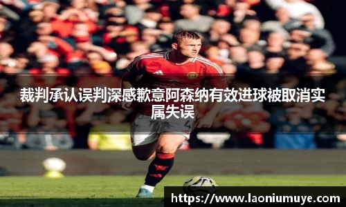 裁判承认误判深感歉意阿森纳有效进球被取消实属失误